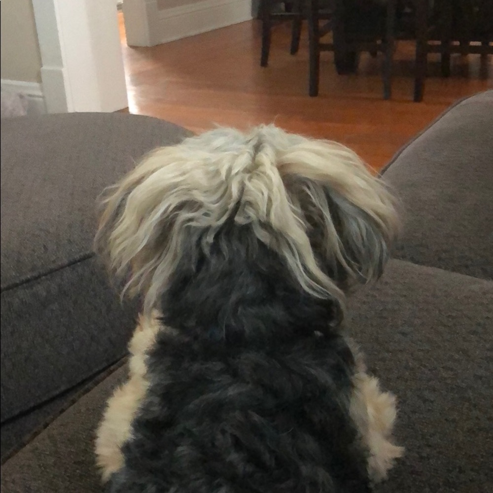 Meet your Posher, Kristin